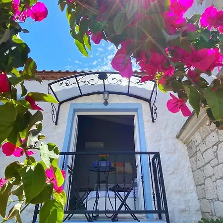 Maison D'azur Bed & Breakfast