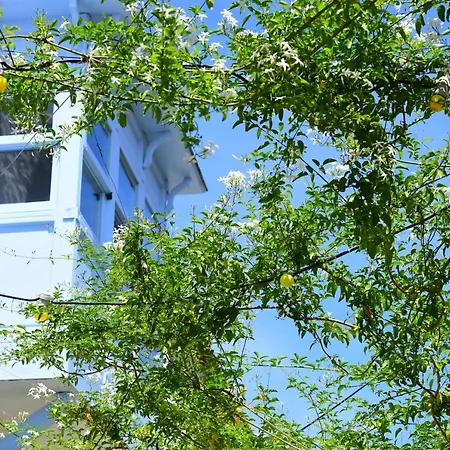 Maison D'azur 2*