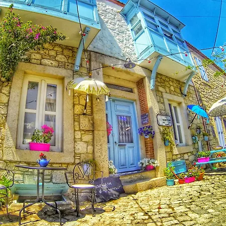 Maison D'azur