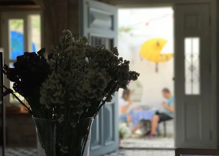 Bed & Breakfast Maison D'azur 4*